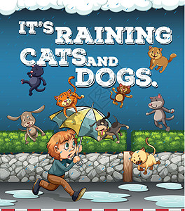 猫狗下雨成语海报图片