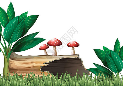 带原木和蘑菇的花园场景图片