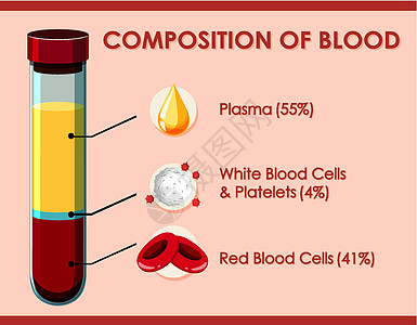 显示血液成分的图表白血夹子生活意义药品学习艺术生物学细胞插图图片