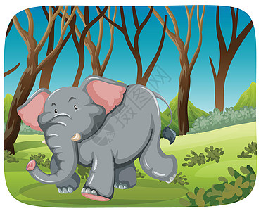 大象在树林里奔跑图片