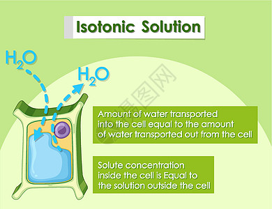 植物细胞中的等渗溶液图片
