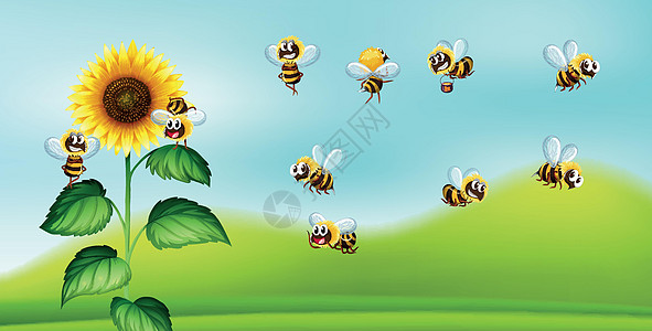 向日葵蜜蜂蜜蜂和向日葵自然黑土插画