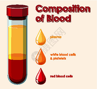 显示血液成分的图表红血生物学药品学习生活生物细胞卡通片艺术绘画图片