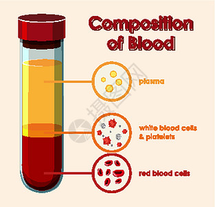 显示血液成分的图表生物绘画细胞白血教育插图生活意义红血海报图片