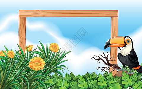 巨嘴鸟木框背景图片