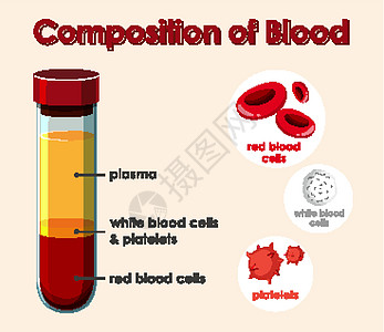 显示血液成分的图表绘画教育红血细胞生物学生活白血艺术学习意义图片