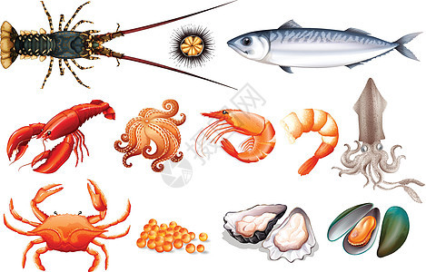套新鲜的海鲜食物牡蛎螃蟹鲭鱼龙虾艺术夹子插图乌贼章鱼图片