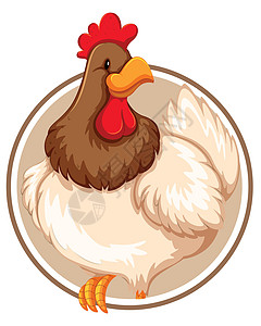 贴纸模板上的一只鸡绘画圆圈艺术农场插图框架标签横幅夹子母鸡图片