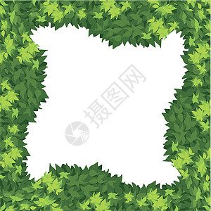 自然绿色边框树叶叶子绘画夹子框架艺术植物邀请函卡片装饰品背景图片