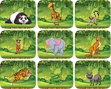 丛林场景中的一组动物插图艺术森林绿色猎豹老虎阴影树木熊猫疣猪图片