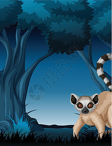 狐猴站在树附近背景图片