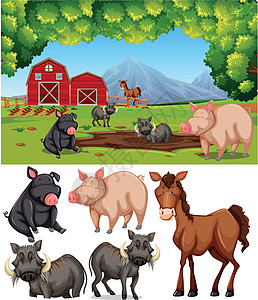 farmlan 的农场动物土地绘画国家收成插图草地艺术卡通片疣猪场地图片