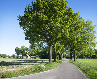 在荷兰杜尔特省德恩扎尔和翁根扎尔之间的高上船只中 有树木和夏季鲜花在栋北省的Twente地区蓝色天气天空季节晴天旅行小路环境农场图片