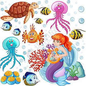 白色背景上的一组海洋动物和美人鱼卡通风格爬虫绘画动物群想像力女性珊瑚童话孩子环境生物图片