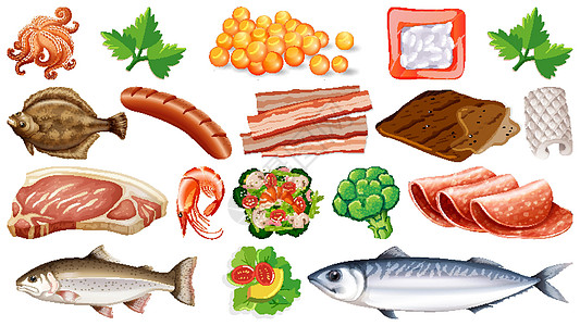 一套新鲜食品配料动物夹子团体收藏生物卡通片蔬菜绘画海鲜沙拉图片