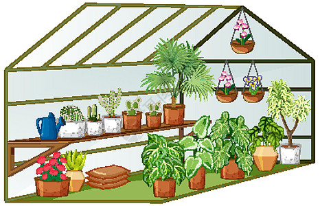 温室开阔视野 内有许多植物高清图片