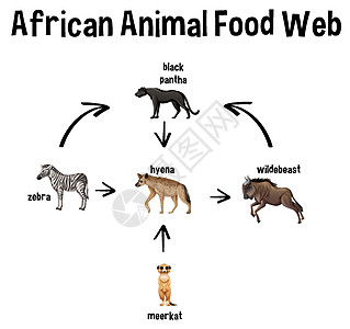 用于教育的非洲动物食品网夹子艺术运输自行车学习插图鬣狗荒野斑马网络图片