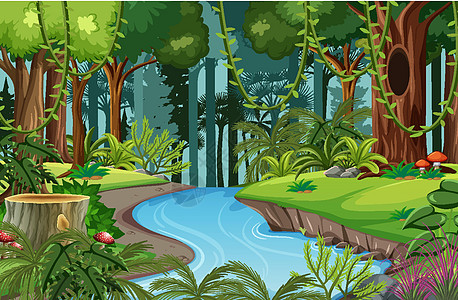 与河和许多树的森林场面液体环境插图荒野团体木头热带冒险卡通片雨林图片