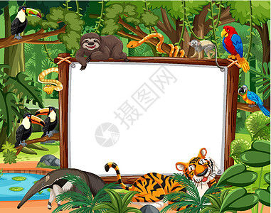 热带雨林场景中的空白横幅与野生动物插图边界旅行哺乳动物热带卡通片雨林木头生物丛林图片