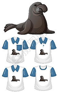 一套不同的衬衫与海牛卡通人物隔离在透明背景标识商品孩子动物动物群插图孩子们荒野衣服马球图片