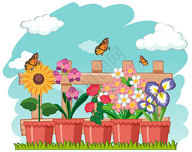 蝴蝶花盆里的简单花背景图片