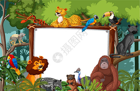 热带雨林场景中的空白横幅与野生动物框架雨林木头动物学旅行生物风景插图生态动物图片