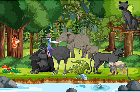 与野生动物的雨林场景爬虫土地冒险鸵鸟大猩猩丛林生物行动木头插图图片