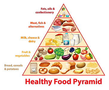 健康食品金字塔炭糖果备择牛奶动物金字塔插图方案绘画信息卡通片图片