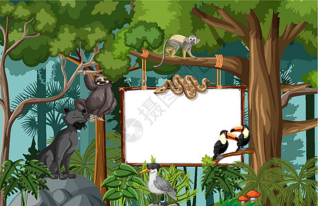 热带雨林场景中的空白横幅与野生动物丛林木板动物卡通片生活旅行插图动物群动物学生态图片