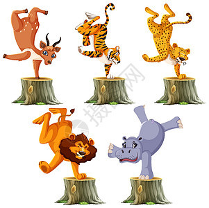 一组站在一只手上的野生动物动物绘画荒野羚羊老虎狮子卡通片树桩河马国王图片