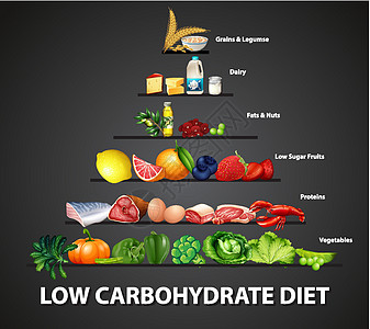 低碳水化合物饮食图牛奶信息碳水面包动物学习方案备择酸奶图表图片