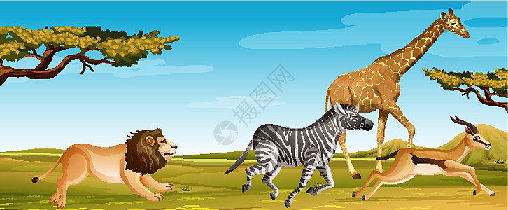 一群在大草原上奔跑的非洲野生动物图片