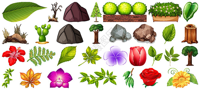 白色背景上孤立的一组不同性质植物插图森林艺术团体场景树叶材料卡通片风格图片
