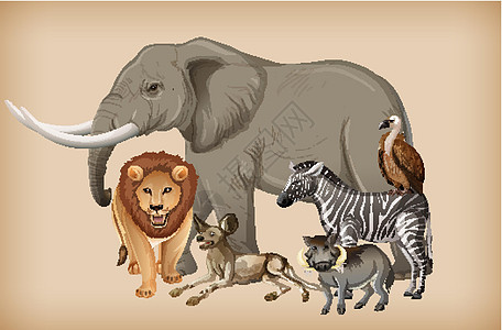 背景上的一群野生动物艺术插图哺乳动物国王热带动物狮子荒野夹子团体图片