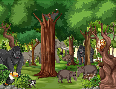 森林场景中的野生动物卡通人物风景动物园灵长类土地冒险动物学哺乳动物环境生物木头图片