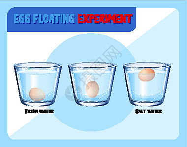 浮蛋测试科学实验食物绘画图表漂浮教育科学家眼镜插图学习信息图片
