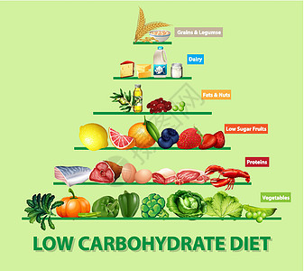 低碳水化合物饮食图插图学习图表信息方案教育面包糖类碳水坚果图片