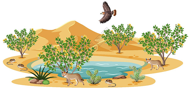 白背景野生沙漠中的杂酚油布什植物绿洲沙丘干旱插图森林太阳天气艺术荒野夹子图片