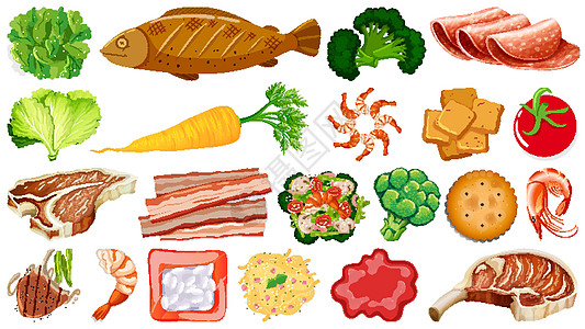 一套新鲜食品配料蔬菜艺术生物插图动物卡通片团体海鲜沙拉收藏图片