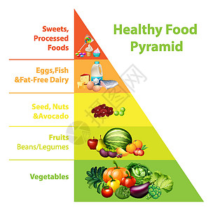 健康食品金字塔炭生物科学金字塔插图教育学习谷物信息土豆绘画图片