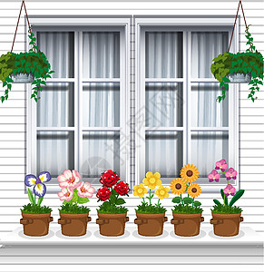 温多附近的花卉植物货架风格插图房子卡通片窗户夹子艺术装饰花瓣图片