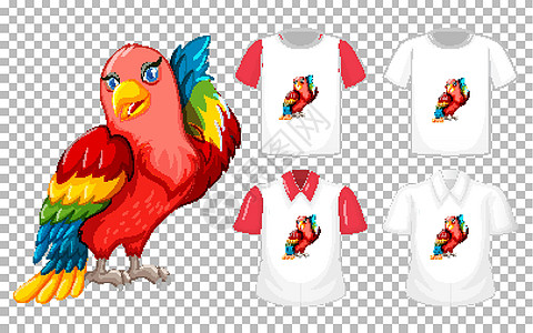 透明背景上有多种衬衫的爱情鸟卡通人物插图团体飞行展示衣服动物群鹦鹉孩子标识马球图片