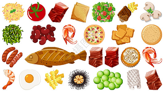 一套新鲜食品配料艺术夹子绘画动物收藏插图海鲜团体蔬菜生物图片