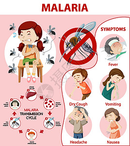 疟疾症状信息图表生物指示牌寄生虫卫生插图药品发烧蚊子昆虫框架图片