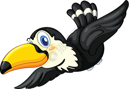 翅膀 背景白色背景上的巨嘴鸟羽毛动画野生动物翅膀生物热带蓝色插图快乐动物插画