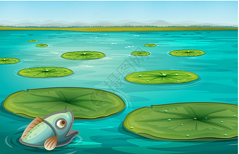 利平板场景绿色插图露水池塘树叶涟漪飞沫植物百合图片