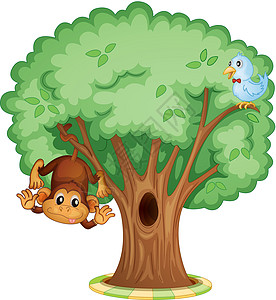 猴子在树上黑猩猩鸟类尾巴树叶领带树干木头灵长类动物蓝色图片