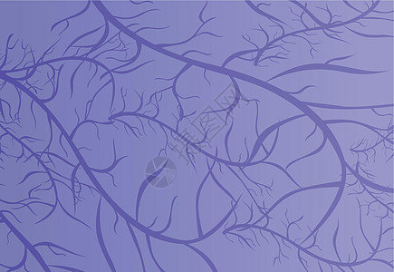 紫色纹理静脉生物学视网膜毛细血管跨度神经结局图片