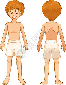 男孩的身体部位戏服微笑手臂科学头发泳装解剖学教育孩子们眼睛图片