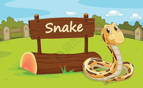 蛇图腾动物园动物土地栖息地外壳蟒蛇吉祥物围栏粮食栅栏卡通片俘虏设计图片